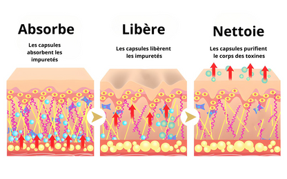 Capsules détox au venin d'abeille